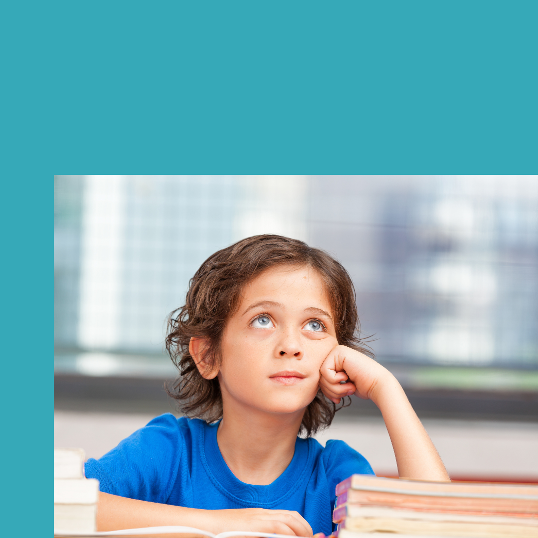 CERTIFICAZIONI DSA–PRESENTAZIONE ISTANZE ANNO 2026 (1-31 MAGGIO 2026) 