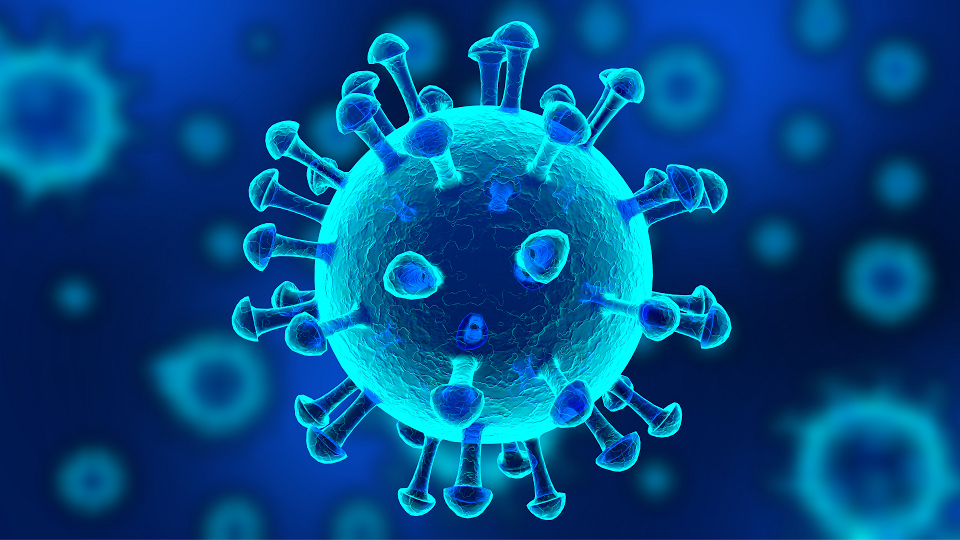 coronavirus