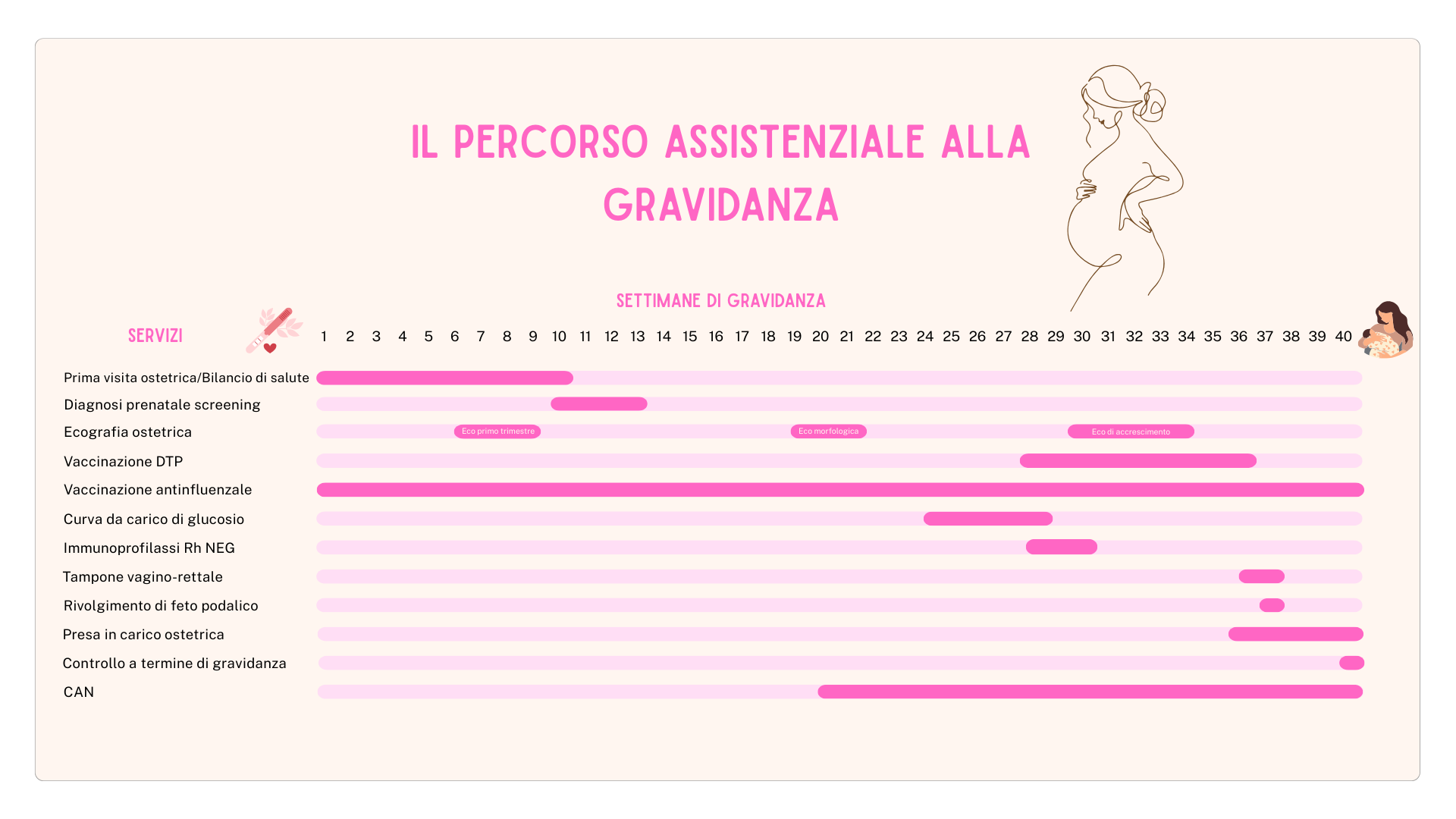 TIME LINE GRAVIDANZA 3