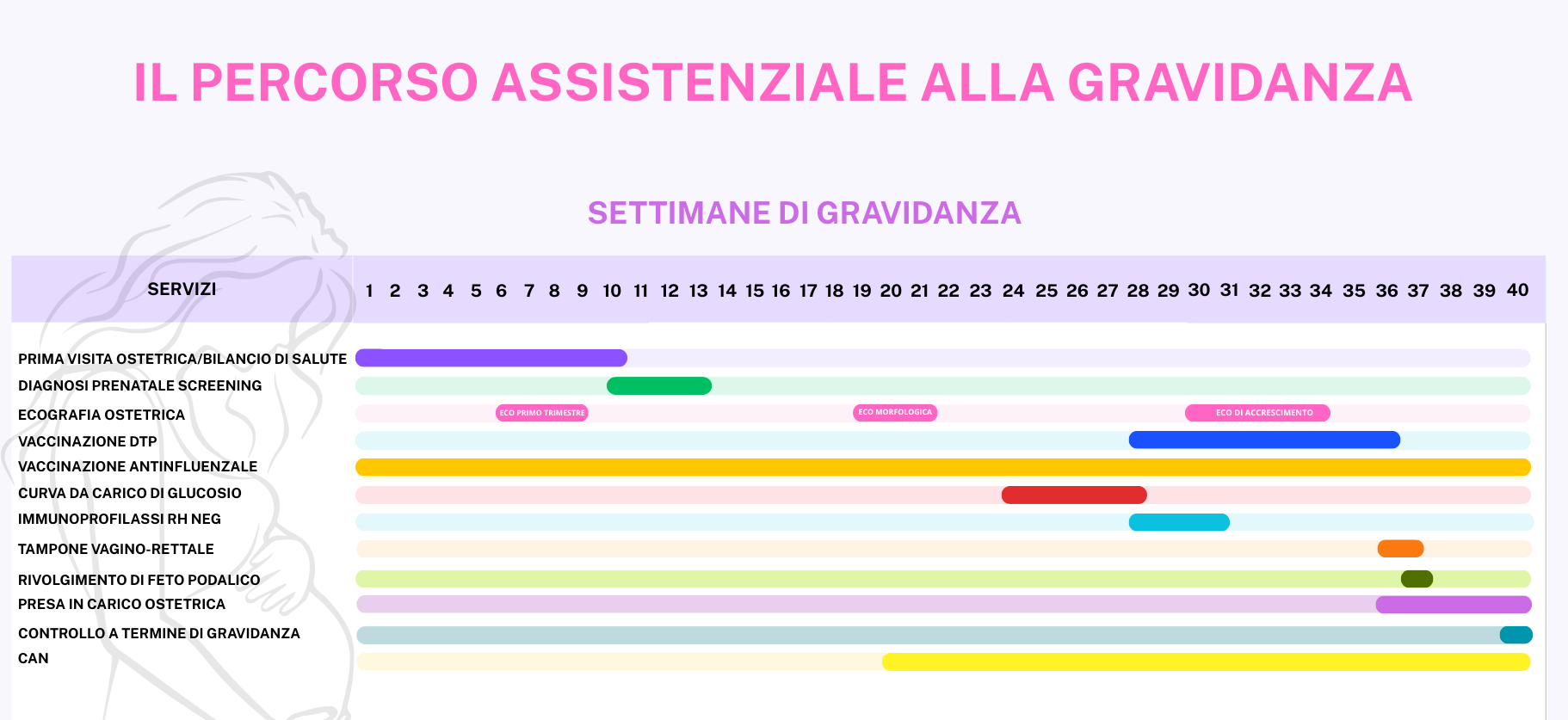 TIME LINE GRAVIDANZA 3