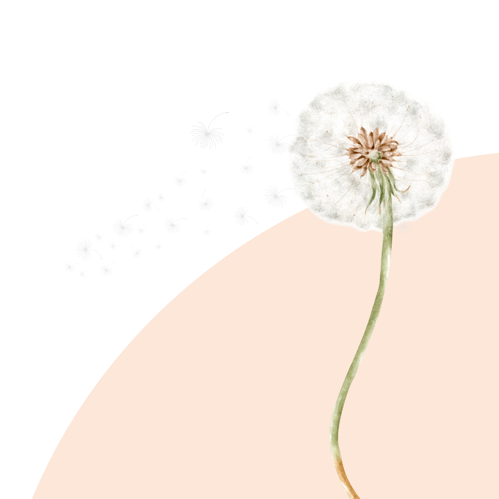 salute preconcezionale