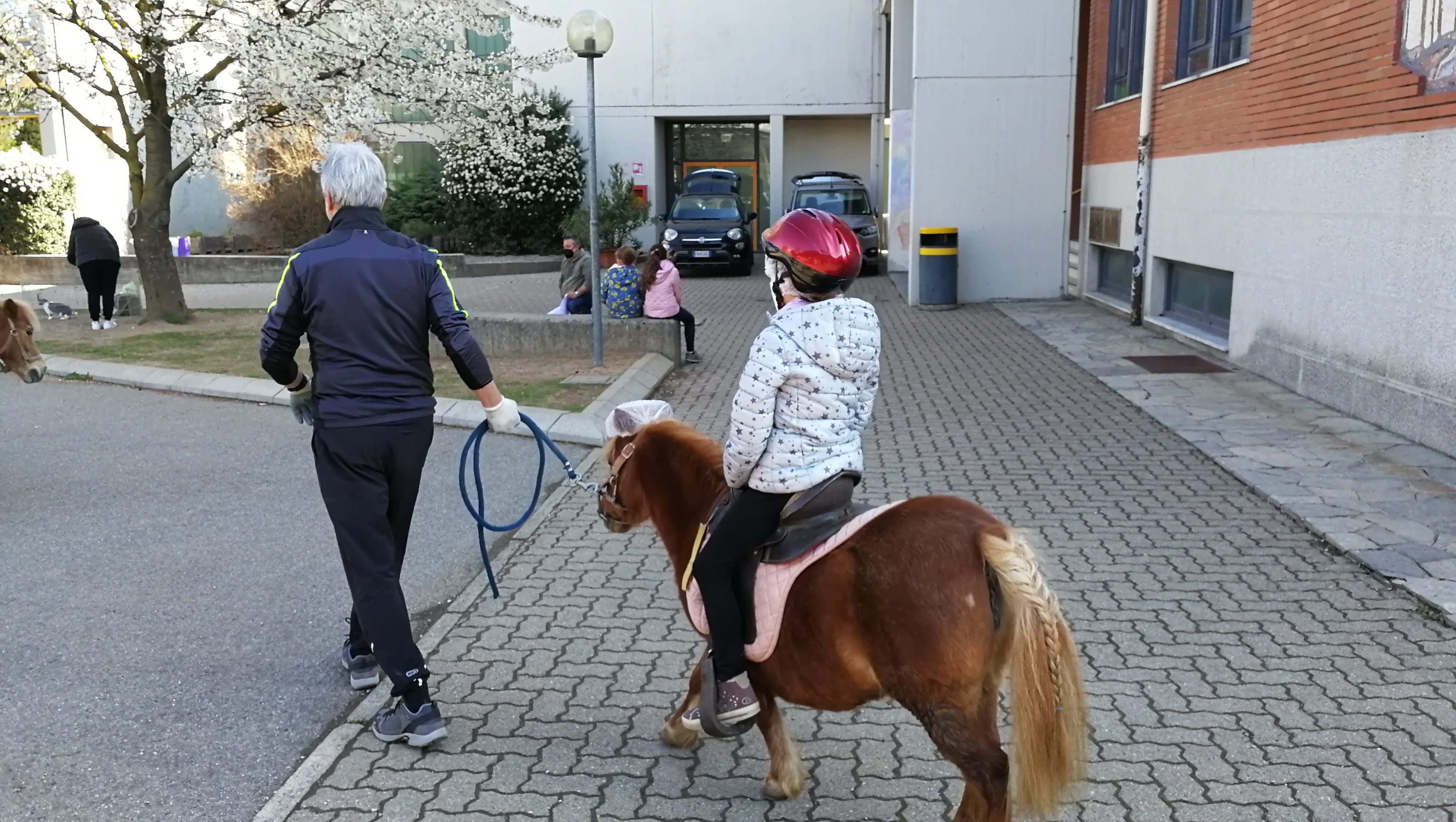 passeggiata sui pony