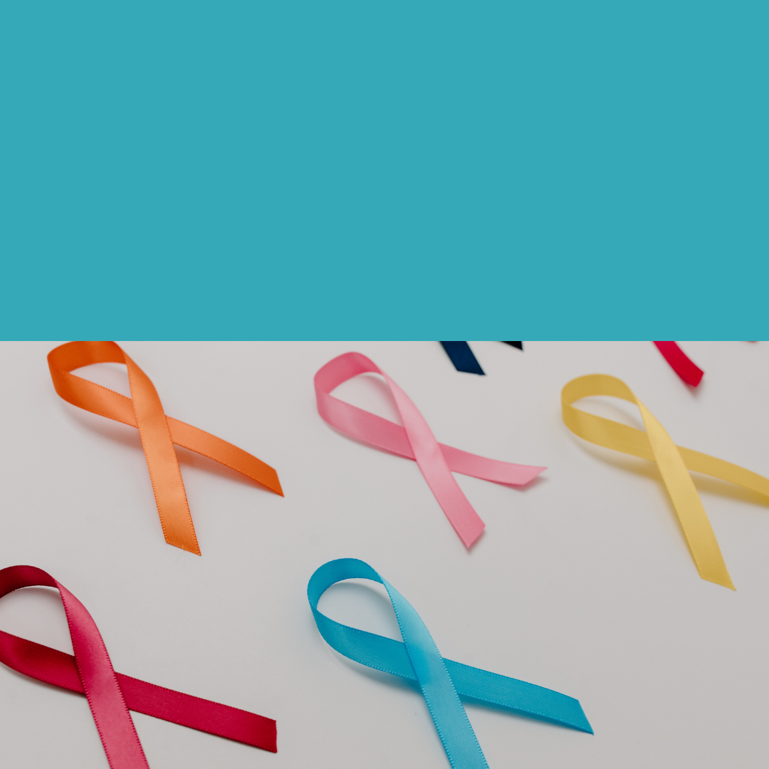 Sospensione programma gestione Screening dal 1° al 13 ottobre 2026