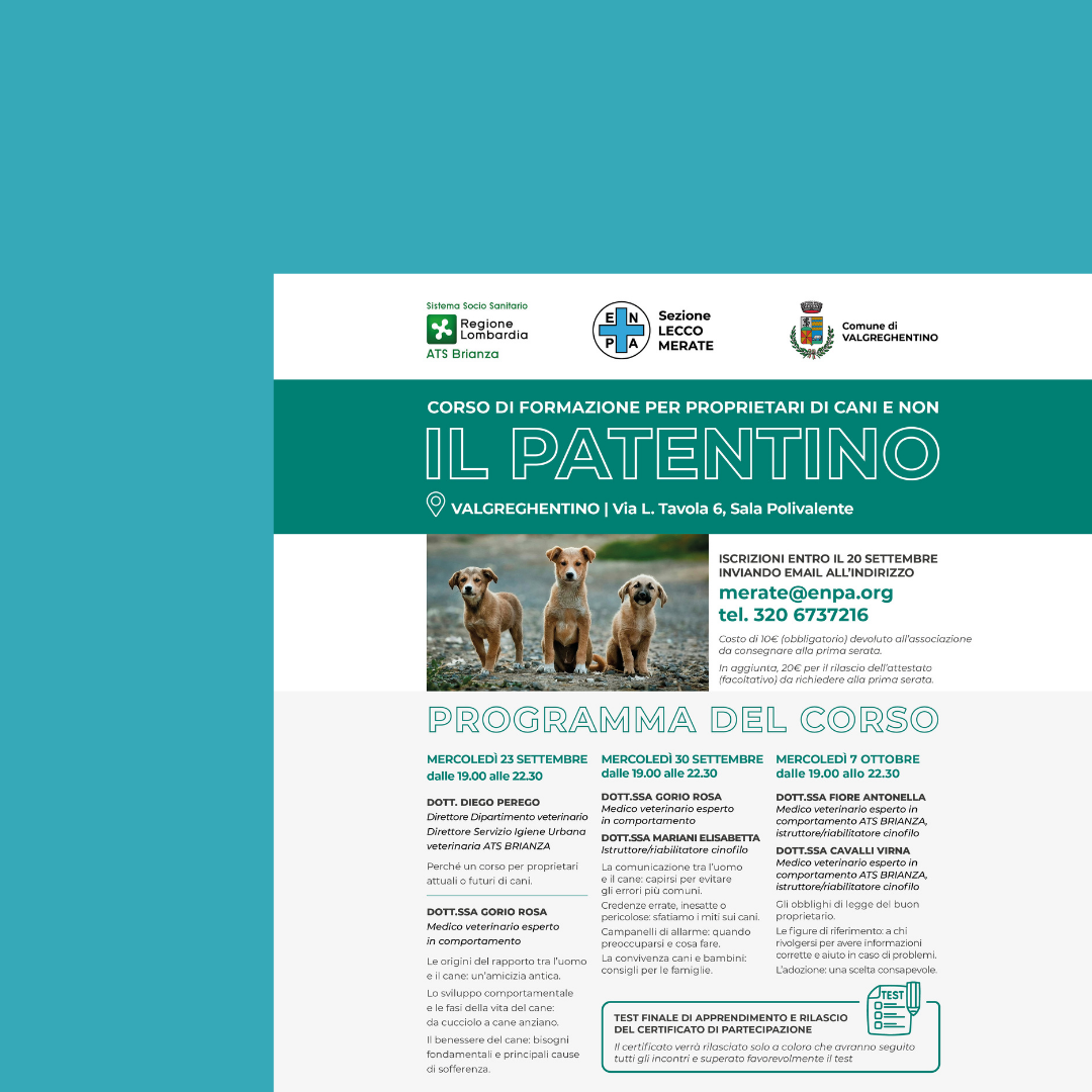 Corso di formazione per proprietari di cani e non: "Il Patentino"